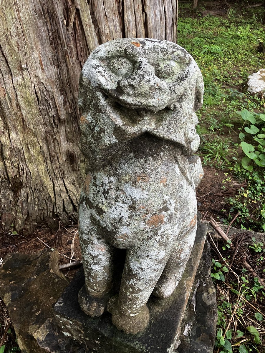 rhenin's tweet photo. 佐渡で千年村疾走調査をしているのですが、山上の集落の神社の狛犬。自分はよくわからないのですが珍しいものかと思い、投稿しました。ご意見お聞かせください。 https://t.co/4jGVatyjMz