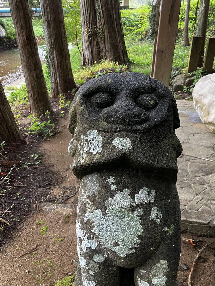 rhenin's tweet photo. 佐渡で千年村疾走調査をしているのですが、山上の集落の神社の狛犬。自分はよくわからないのですが珍しいものかと思い、投稿しました。ご意見お聞かせください。 https://t.co/4jGVatyjMz
