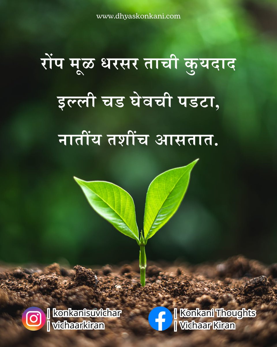 bhaangarbhuin's tweet image. #sapling #plant #root #relationship #Konkani #suvichar #thought #quote #dhyaskonkani #vichaarkiran