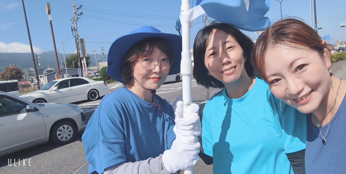 猫アクセラ tweet media