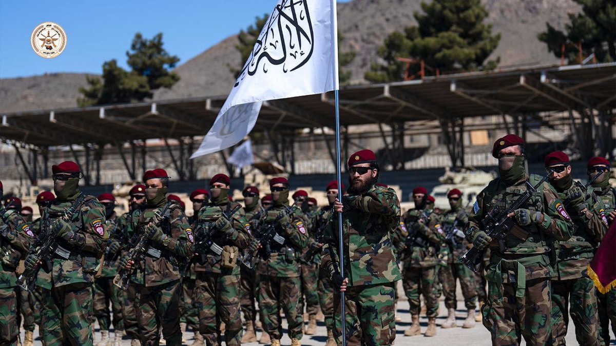 لا تقاتل معنا، سوف يتم كسر رأسك.