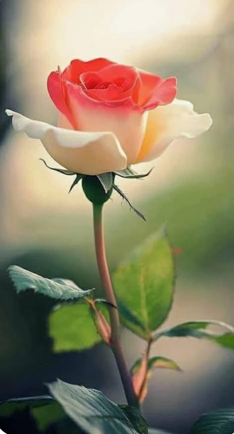 “Hard skills land you the job; soft skills help you keep it.”