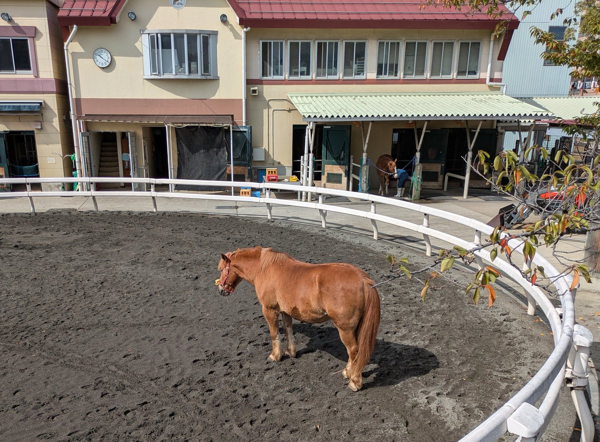 のんびり@4/20かすみがうらマラソン (@nombiri_running) on Twitter photo インターバル2km×3🐎
設定4:40〜4:45/km r3分ジョグ
昨日の30km走で脚が重たく、軽く筋肉痛を感じる状態🦿
アップと流し3本で体勢を整えてから開始💨
最後はちょいとペースが上がってしまいましたが、ほぼ設定通りに👍
体重59.2kg…しっかりリカバリせねば😅
明日は仕事なのでオフかな😪 インターバル2km×3🐎
設定4:40〜4:45/km r3分ジョグ
昨日の30km走で脚が重たく、軽く筋肉痛を感じる状態🦿
アップと流し3本で体勢を整えてから開始💨
最後はちょいとペースが上がってしまいましたが、ほぼ設定通りに👍
体重59.2kg…しっかりリカバリせねば😅
明日は仕事なのでオフかな😪
