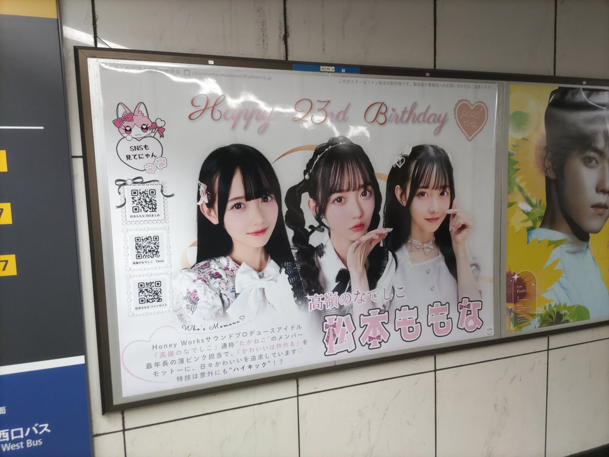 Goshuinnist_mg's tweet image. 当日に見に行ってきたよ！
応援企画さん&amp;amp;ぽはん会さん、ありがとうございます🙇‍♂️🙇‍♂️
#高嶺のなでしこ #たかねこ
#松本ももな #ももなんにおくりもも
#松本ももな生誕祭2025