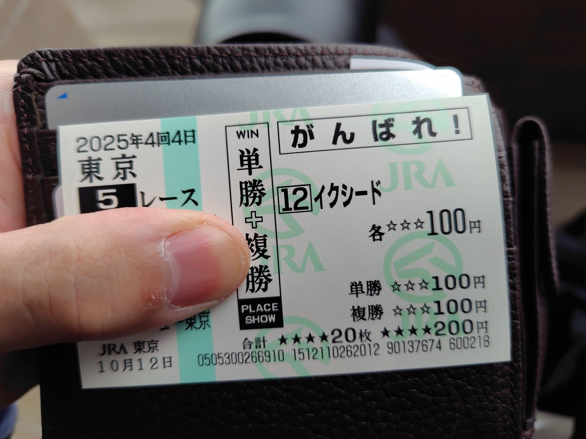 Kaufmann81624's tweet image. イクシード！！
メイクデビュー勝利おめでとう！！！
#イクイノックス全妹 #キタサンブラック産駒 #競馬好きと繋がりたい