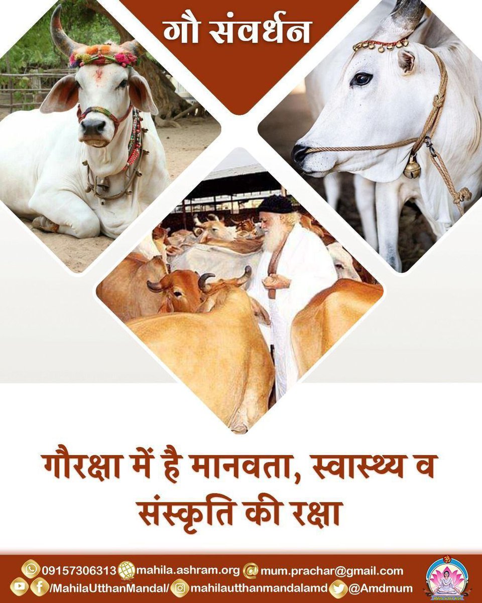 poonam63108853's tweet image. जी, Sant Shri Asharamji Bapu ने कत्लखानों से गायों को बचाने के लिए अनेक 🚩 Gaushala स्थापित कीं और संदेश दिया – “गाय की सेवा, राष्ट्र की सेवा है।"
उनके द्वारा संचालित यह 🍁 Gau Raksha Abhiyan समाज में करुणा, संस्कृति और संवेदना का प्रकाश फैला रहा है।
So plz ✊🏻 #SaveAshram