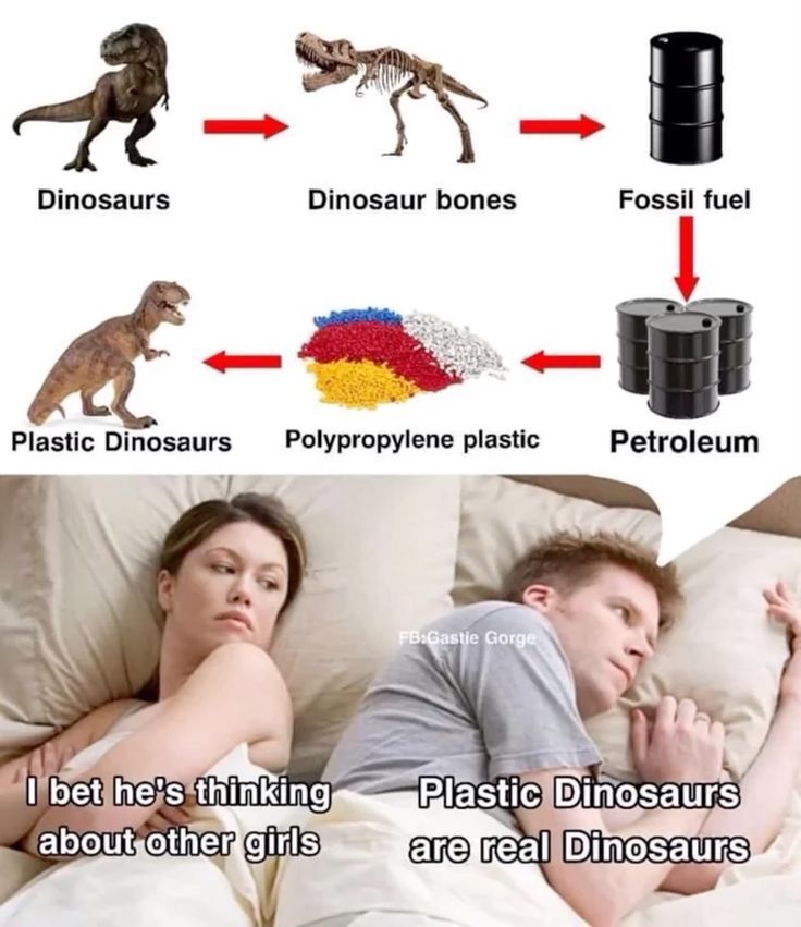 dinosaurs1969's tweet photo. https://t.co/gxCsix69Xc