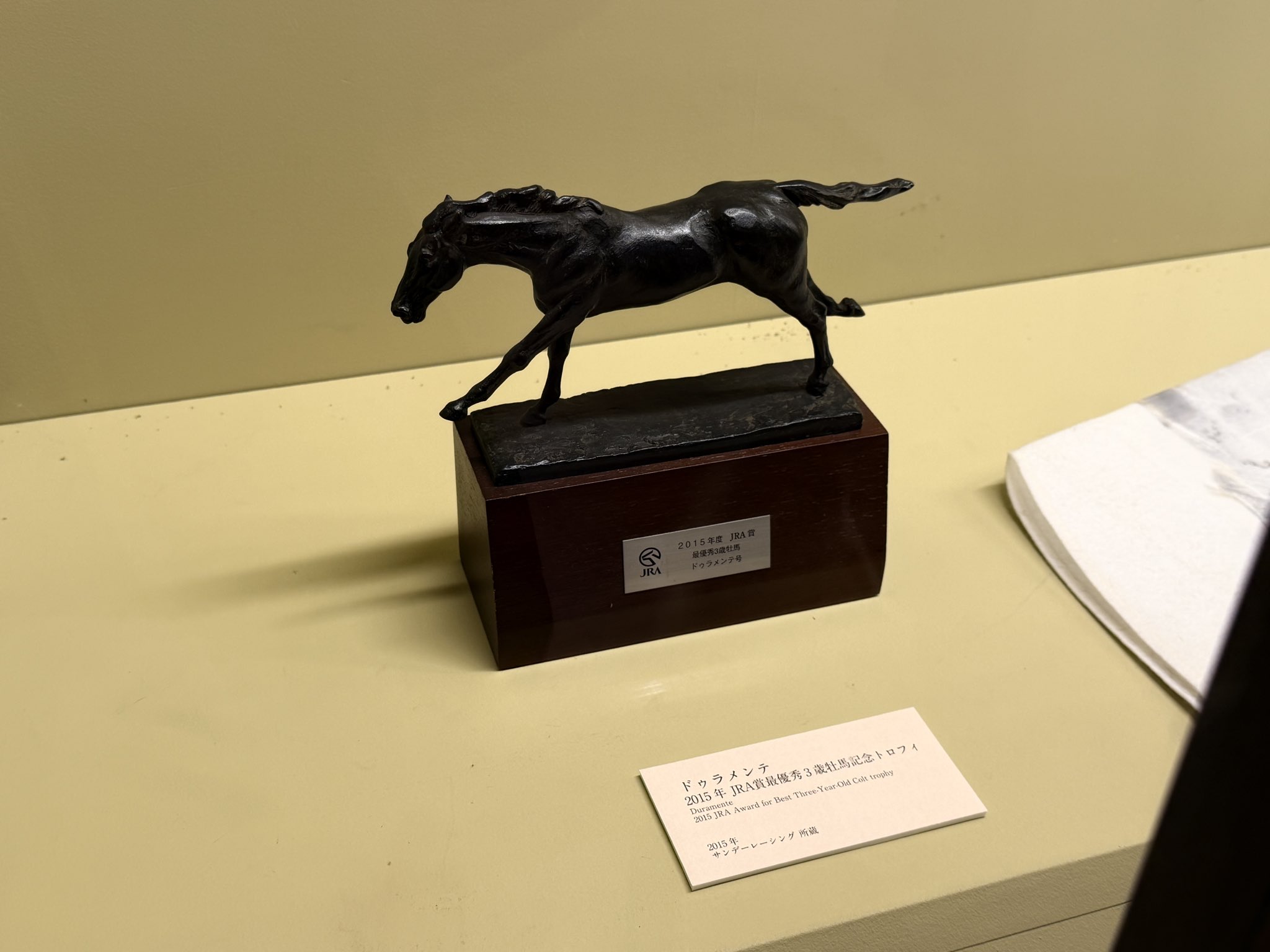 ドゥラメンテゼッケン ドゥラメンテゼッケン