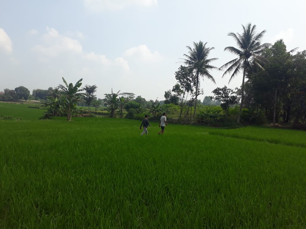 Terima Kasih Timnas dan seluruh staff
Tetap mencoba, Next Piala Asia, World Cup 2030...
Tankyu <a href="/PSSI/">PSSI</a> , <a href="/erickthohir/">Erick Thohir</a> 
#TimnasDay #Indonesia