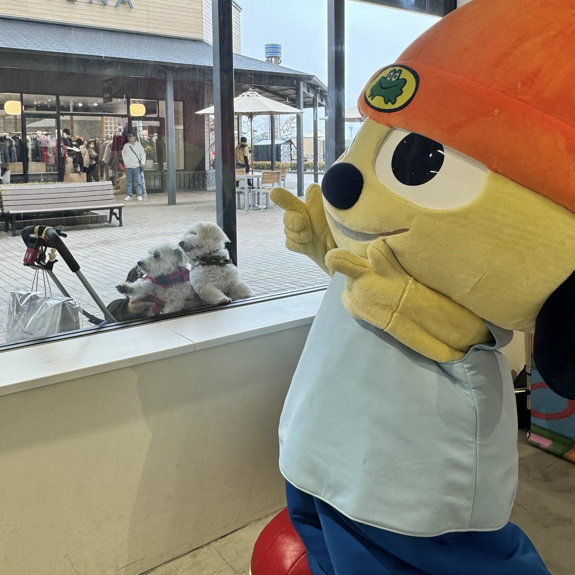 WIND AND SEA (@windandsea_wear) / X