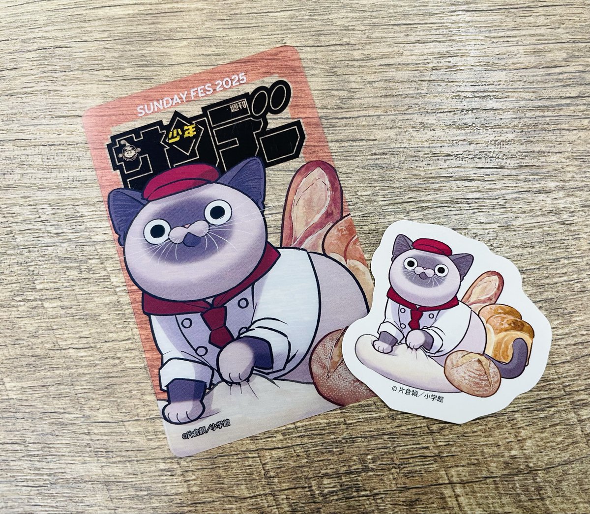 オヤジとにゃん吉🐾公式 (@oyazitonyankiti) / X