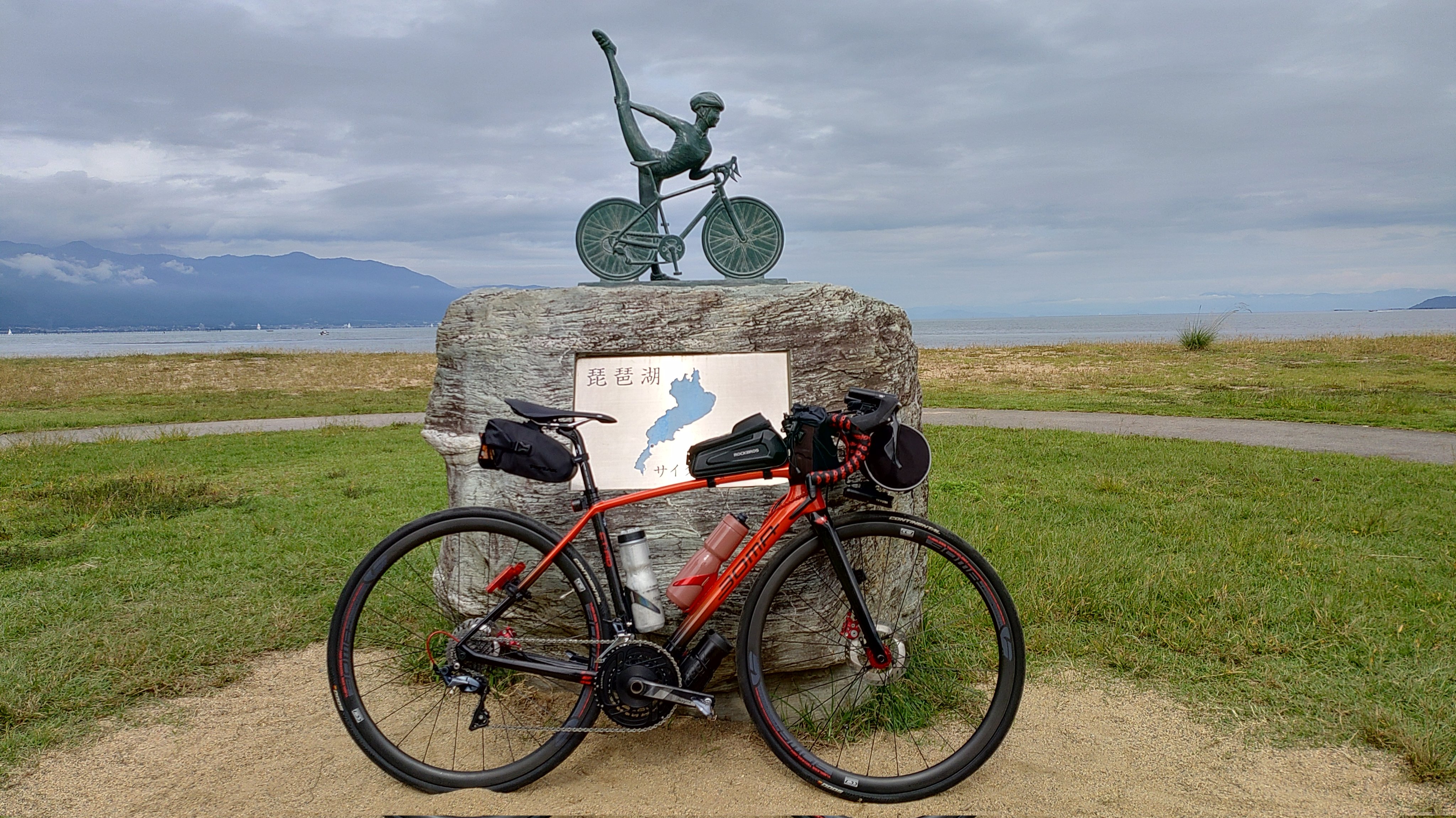 ことり様□ ビーチ ミムラス マスタード スターオブベツレヘム