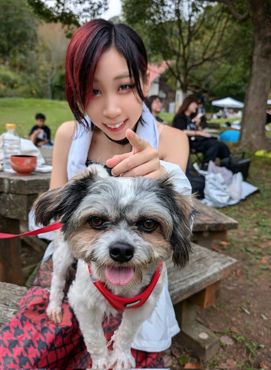 emiokomarun5296's tweet image. 本日より
#Keys
#いぬーず
の一員になりました
『ちーず』です

飼い主と同じで、すぐになついちゃいました
お膝に乗りました
僕が一番かもしれません
仲良くしてください
よろしくです!!!

#いつかいぬーずのトップを
#独楽樹ハル
#こまるん様