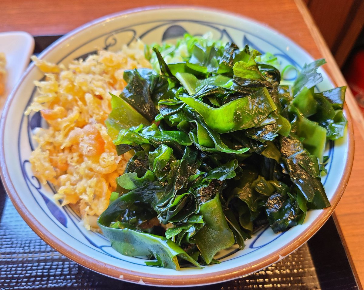 無料のワカメたっぷりバリューうどん🫠