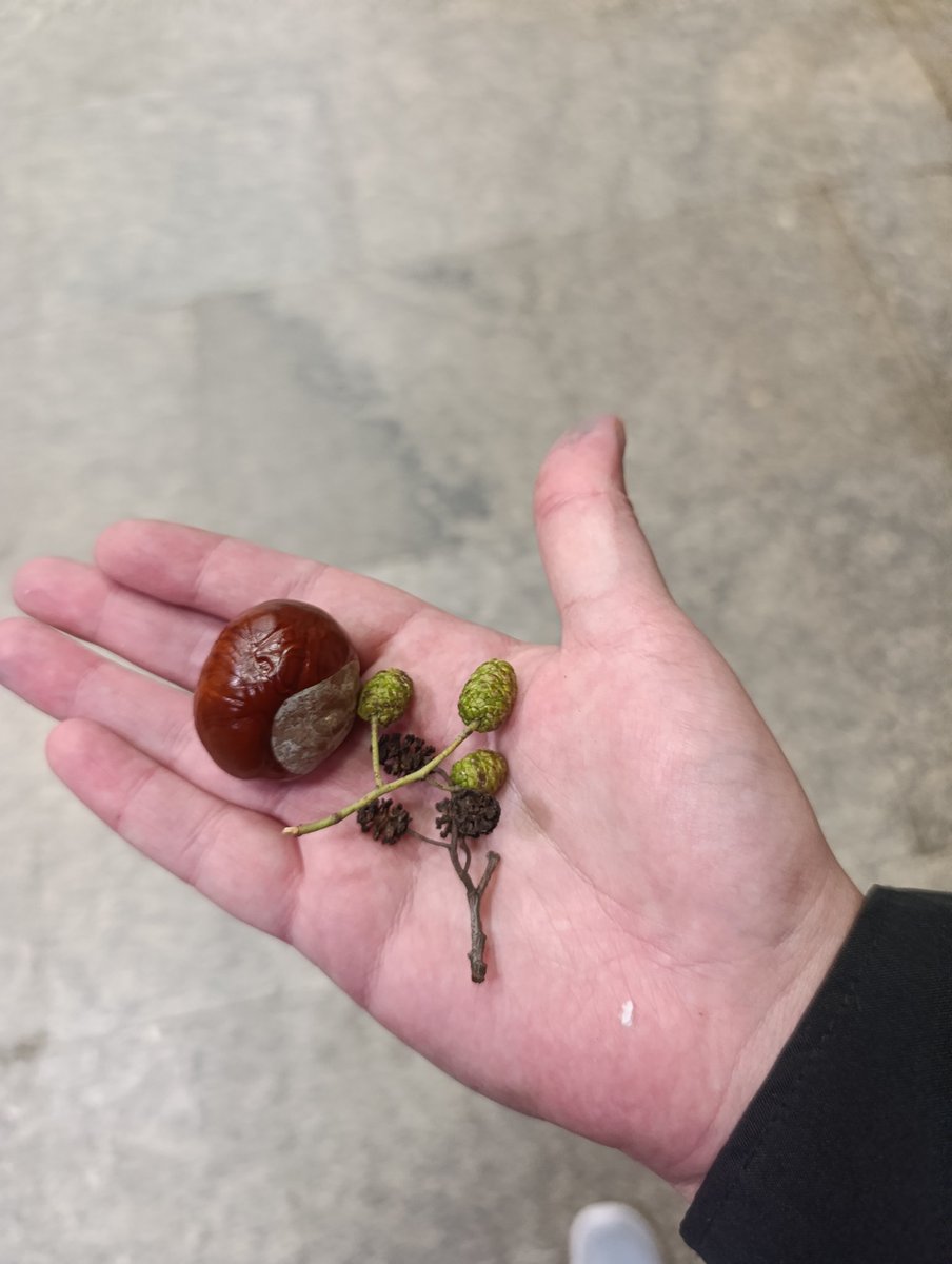 Hudelaits's tweet photo. В целом конечно давно не виделись
Я тут постриглась, почти перестала рисовать за вычетом таких скетчиков (но уже раскачиваюсь обратно), собираю каштаны, но в основном ору как этот воробей. https://t.co/SqoMYcjJVW