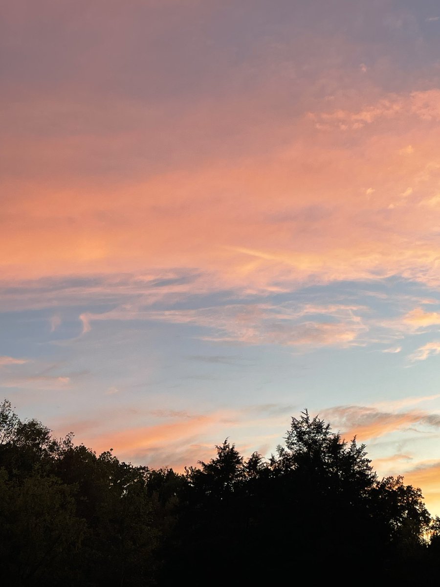 hibiscus_flwer's tweet image. The sky sure is pretty!
7:13pm
#sky #pretty #sunset