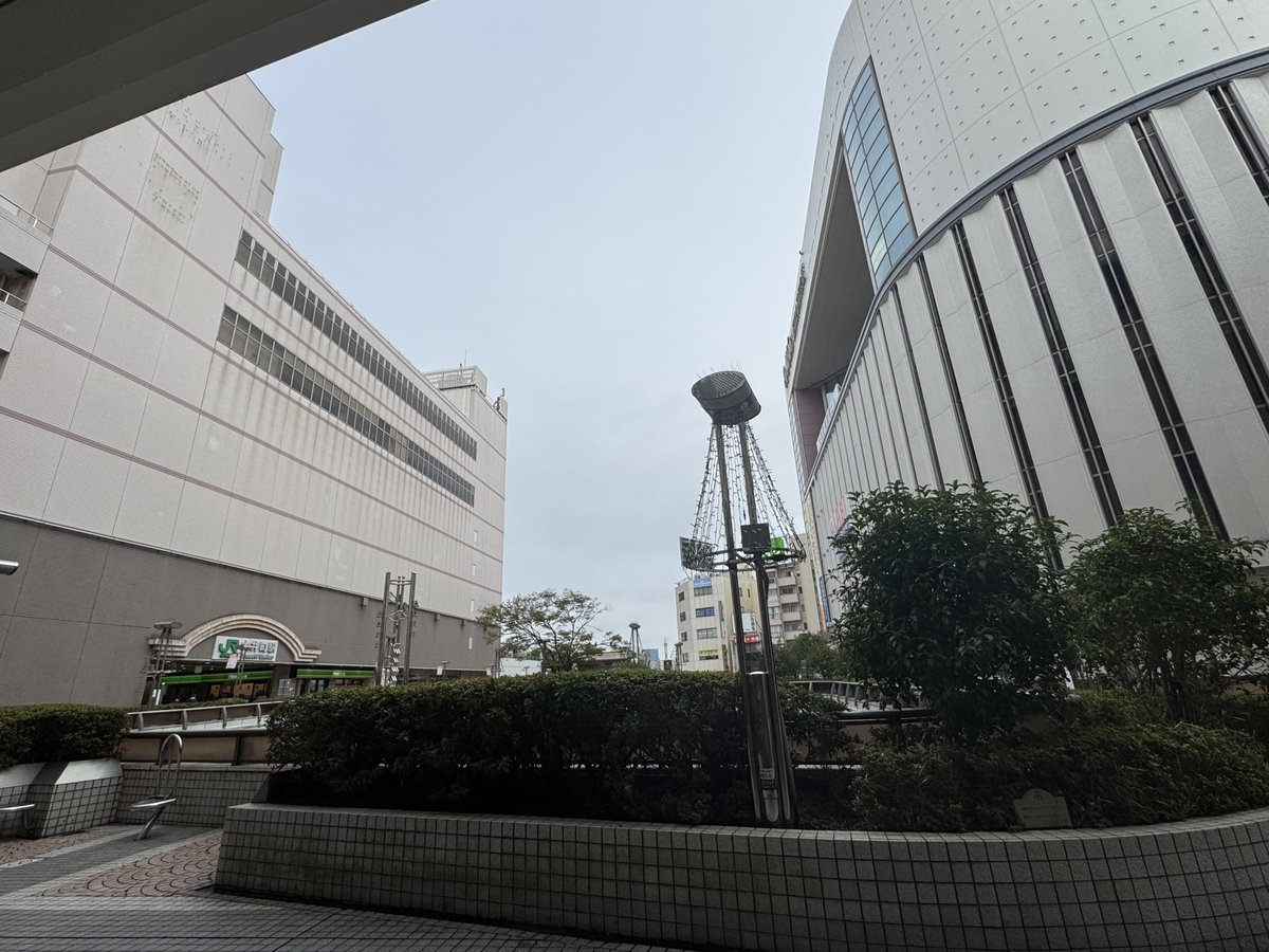 japanblueberry tweet picture