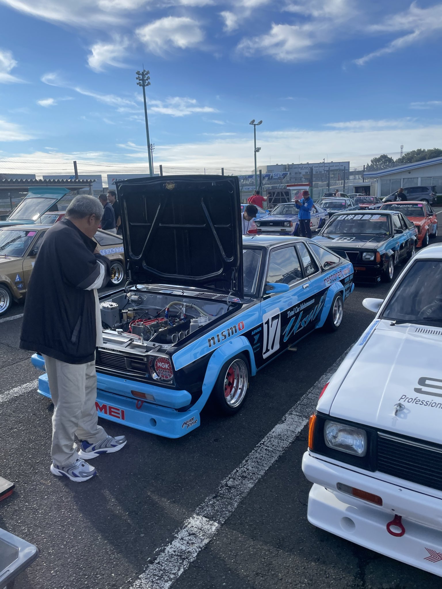 現地球、値段交渉OK！コミフォラサクシコラ　幹太 現地球、値段交渉OK！コミフォラサクシコラ幹太