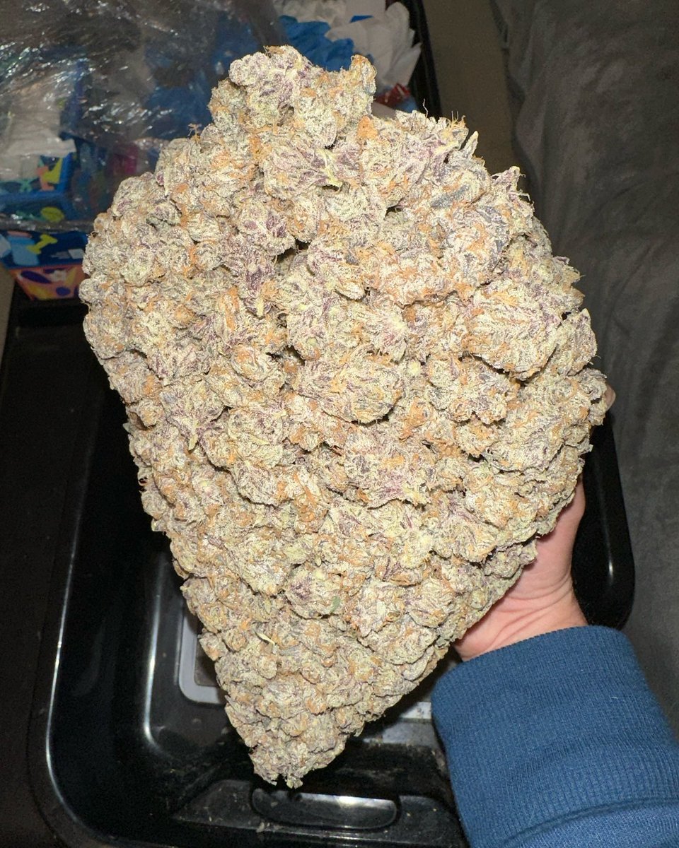 Who wants a handful?
