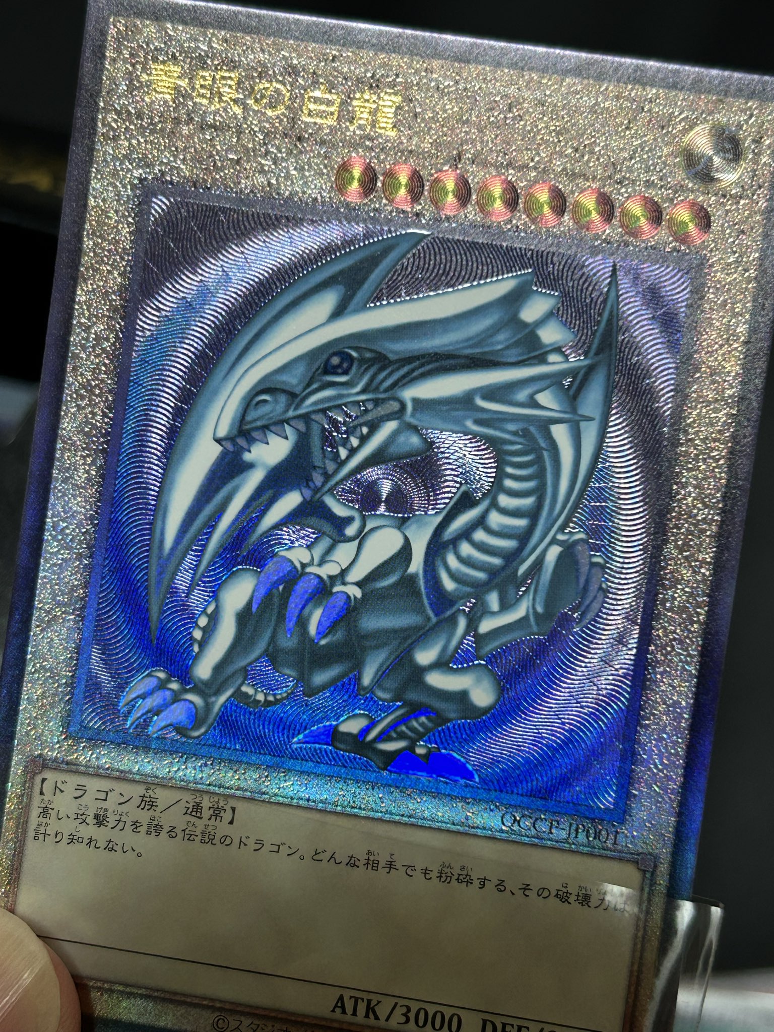 遊戯王 - Search / X