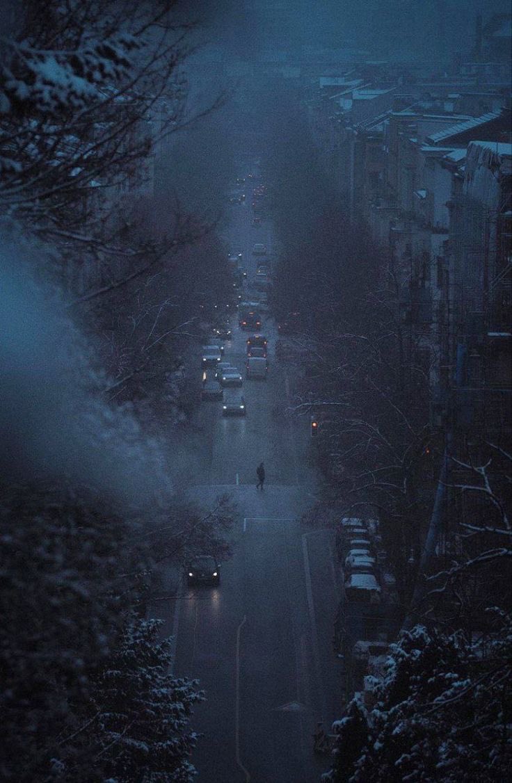 ancilladominii's tweet image. 