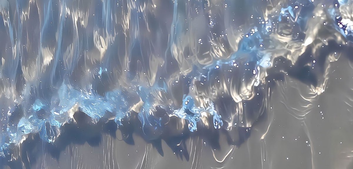 강순덕 tweet media