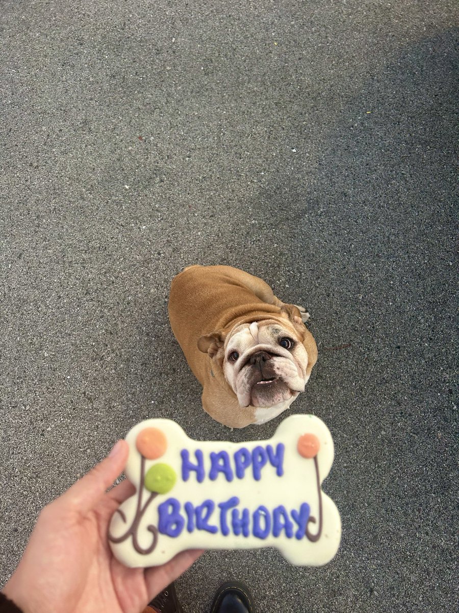 𝔍𝔬𝔯𝔡𝔶 tweet media