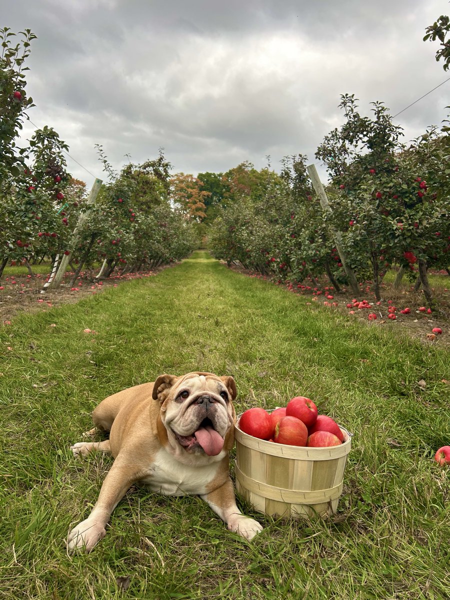 𝔍𝔬𝔯𝔡𝔶 tweet media