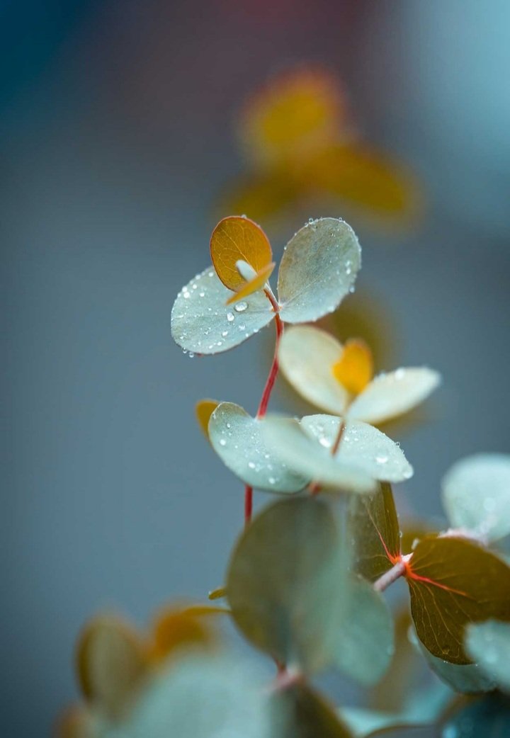 Өглөөний мэнд...⚘⚘⚘
Шинэ өдөрт нь амжилт хүсье...💚💚💚💚💚