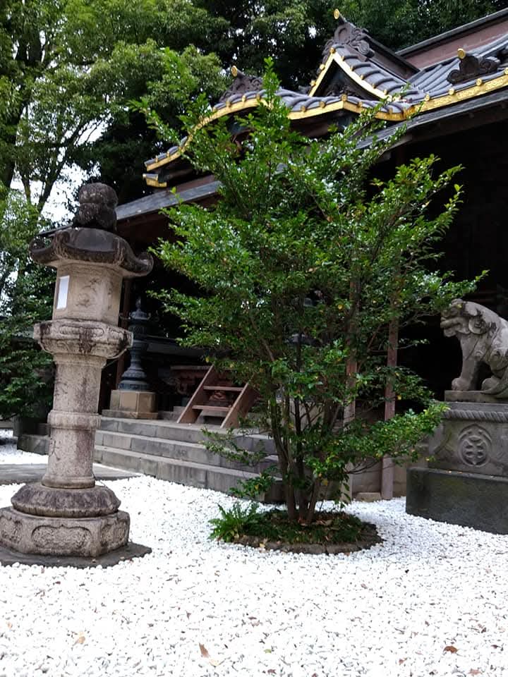 hirorin55's tweet image. ひと雨ごとに

秋が深まる境内。

取り残され

熟した赤い実のような

風鈴が

夏の置き土産として

ひんやりした風に

揺れる。

疫病も鎮まり

静寂に包まれる

鎮守の杜。

＃backnumber
＃archives