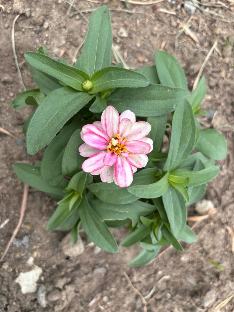 今まで人に寄り添ってきた
そんなあなたにずっと
寄り添い続ける人も
たくさんいます
疲れた時は
#あの子たち　の優しさで
包まれていることを
思い出してね

#心はそばにいるよ