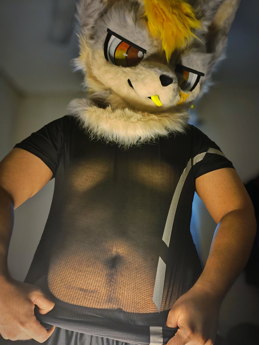 Another one, because I like it :3

Bunch of scars too :'3 

#FursuitEveryday