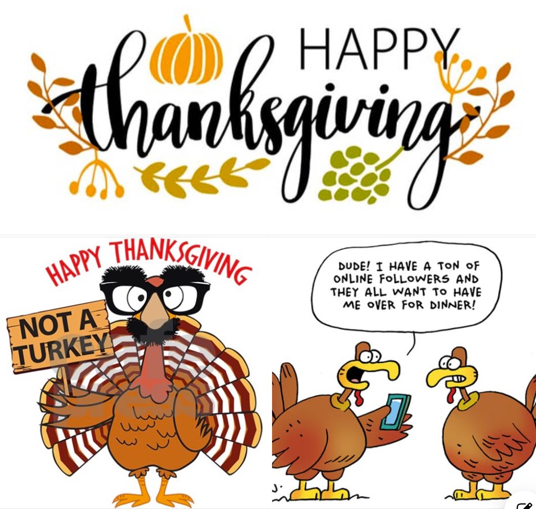 Happy Thanksgiving from all of us at <a href="/TollSmallEngine/">TollSmallEngines</a> ! We are very thankful to all of our loyal customers for your continued support!  
We also always try not to be "turkeys"! And hopefully you will all have family and friends that want to have you over for dinner this weekend!
