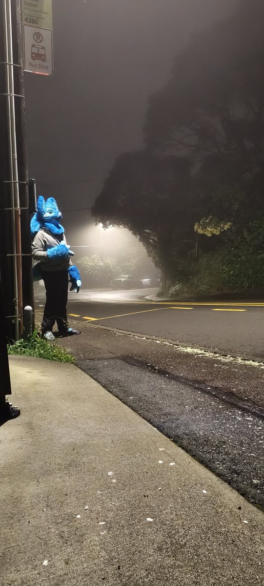 I think I might have gotten off at the wrong stop.