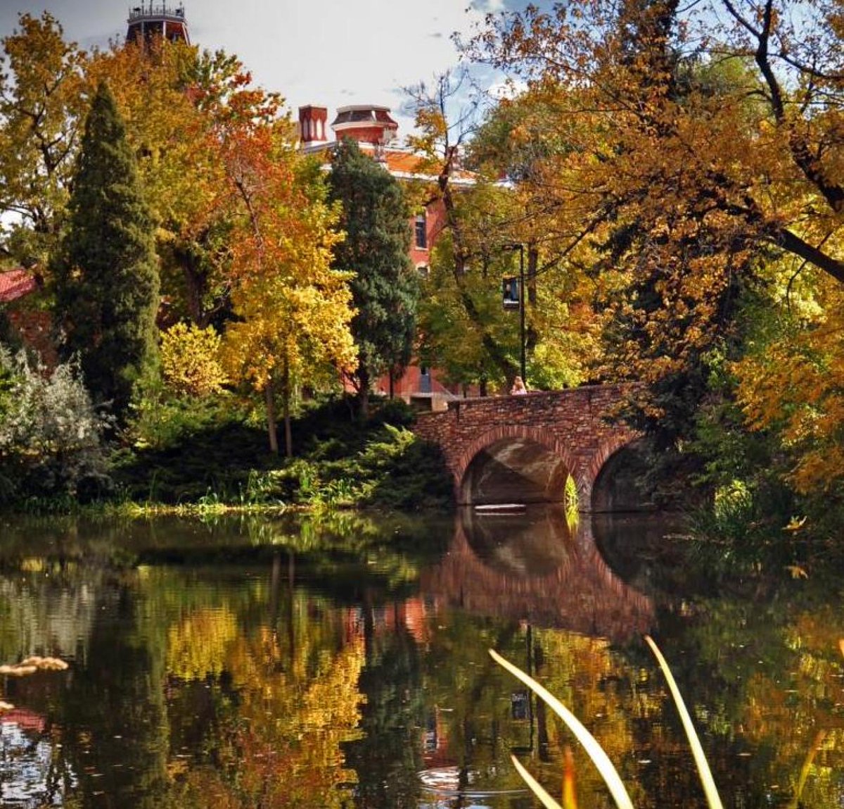 Caleb Petersen tweet media