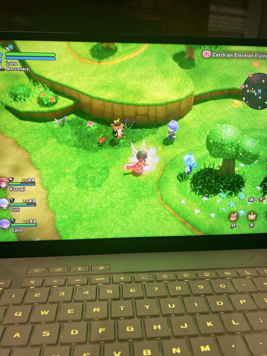 Round Two of Fantasy Life. I was almost finished with game and my cat stepped a my controller and hit the new game button. 🤦‍♀️