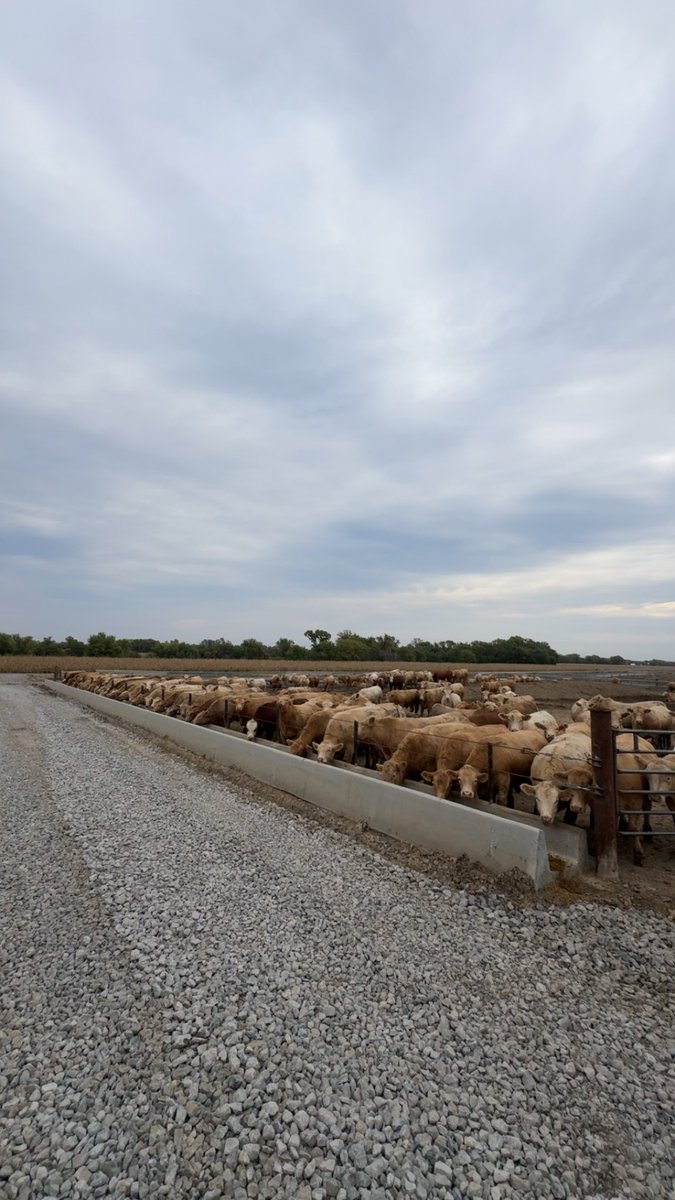 Derek Pohl tweet media