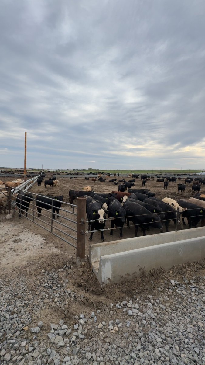 Derek Pohl tweet media