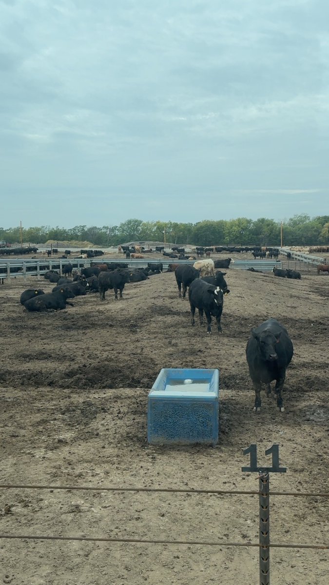 Derek Pohl tweet media