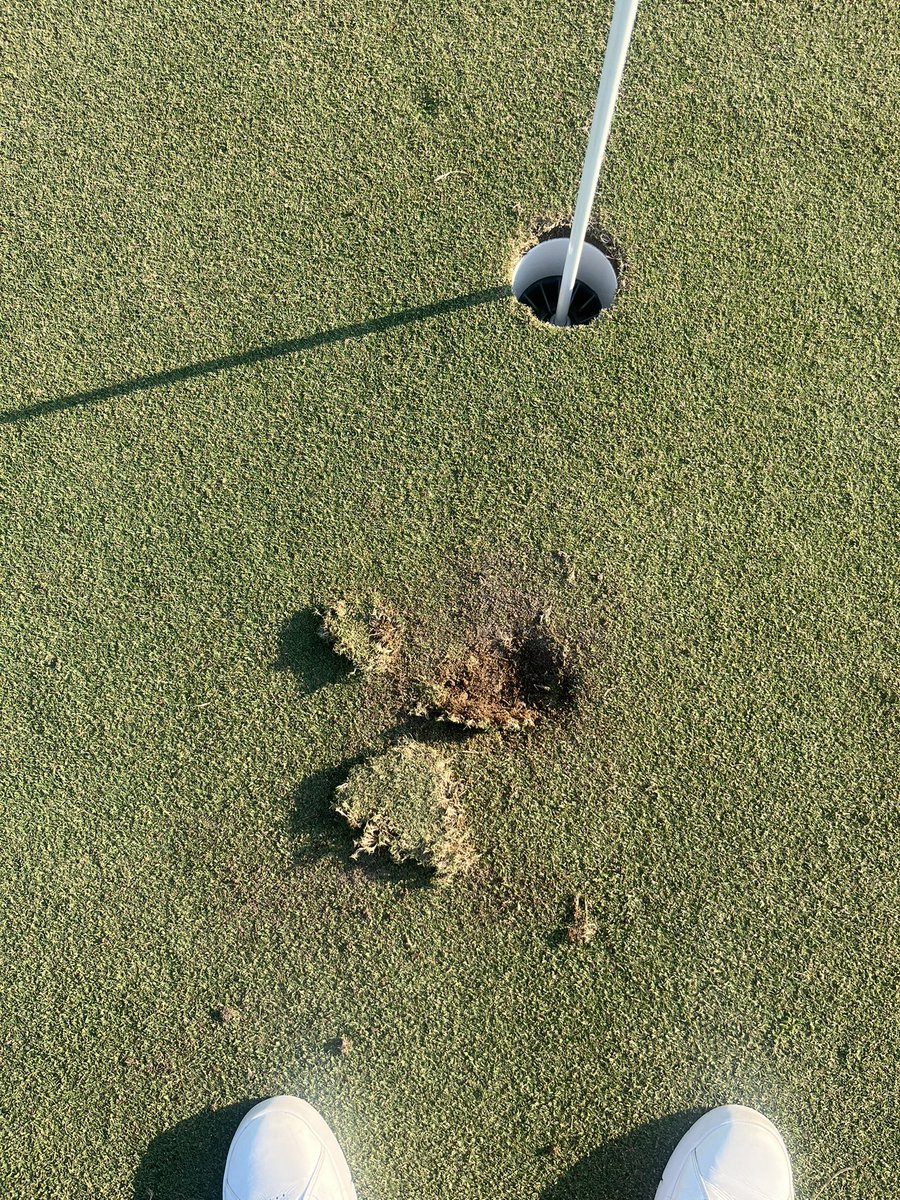 Colton Neuman tweet media