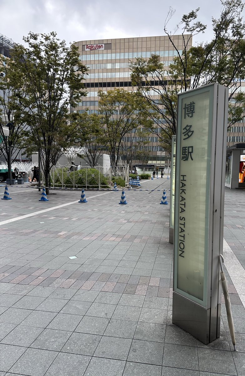 無事到着、がんばルビー