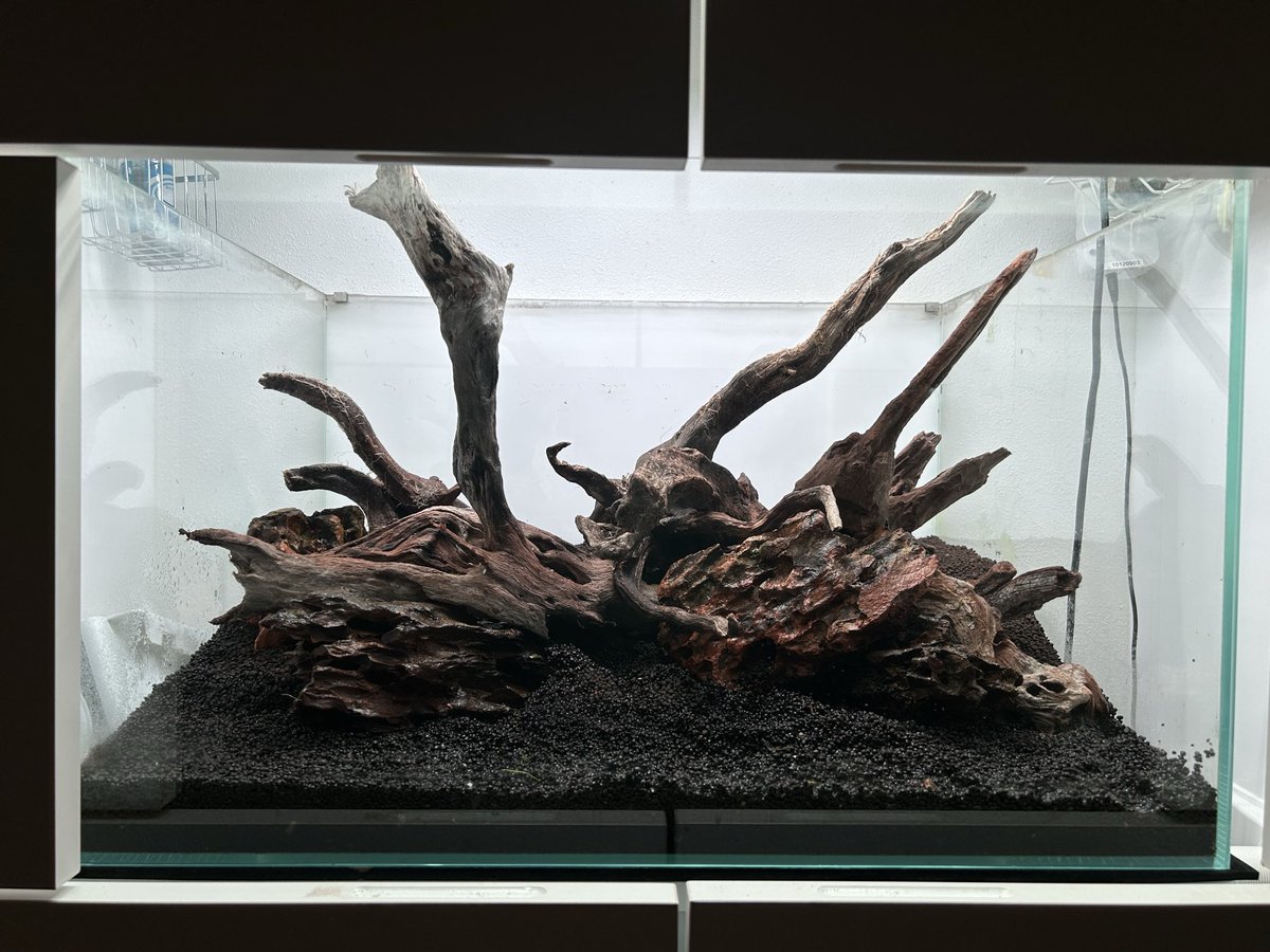ken@aquarium (@kenaquarium1) / Posts / X