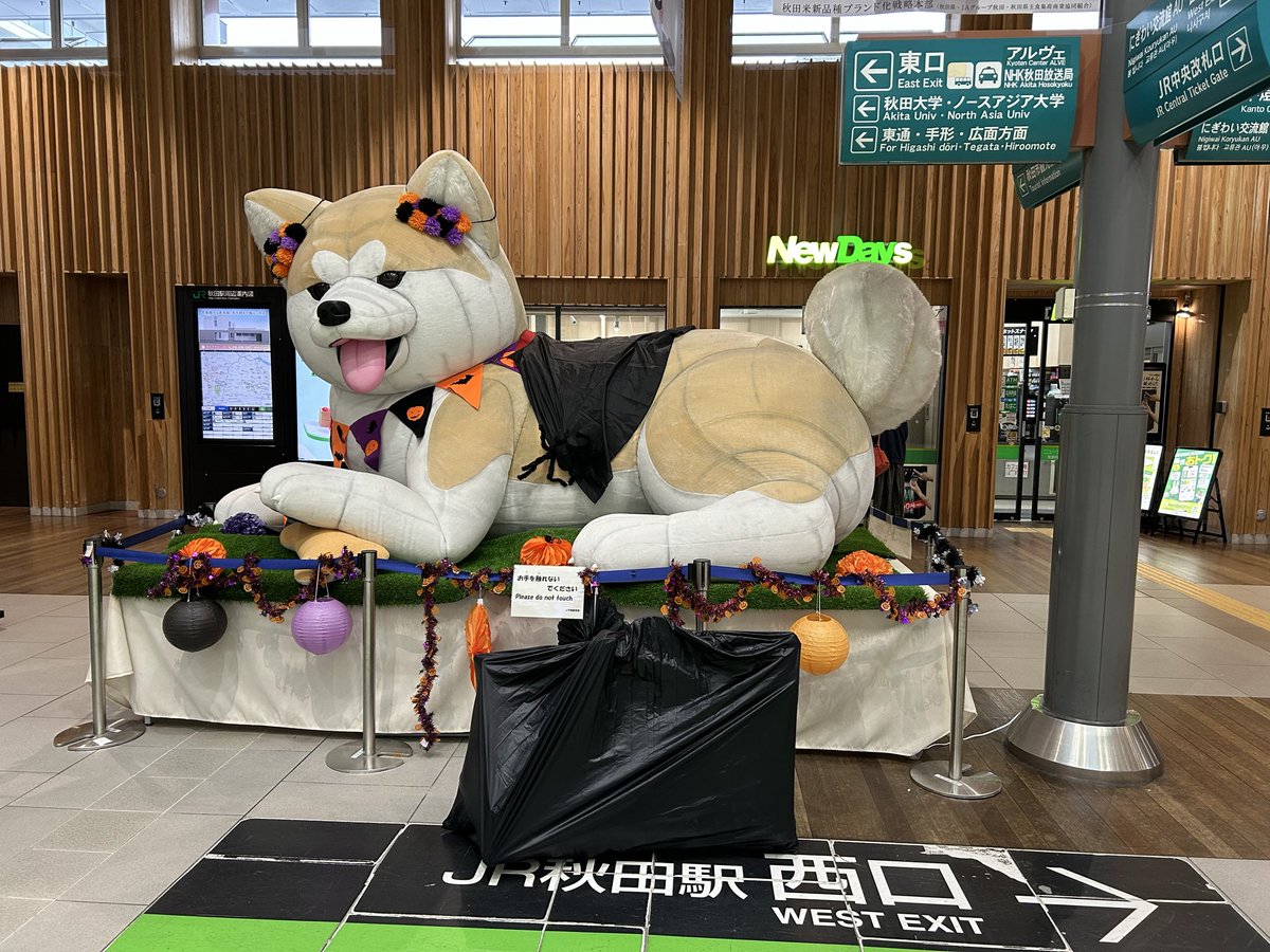 ぶぅーちゃん‪‪‪‪❤︎‬\" ぶぅ〜ちゃん (@buuhchan) / Posts / X