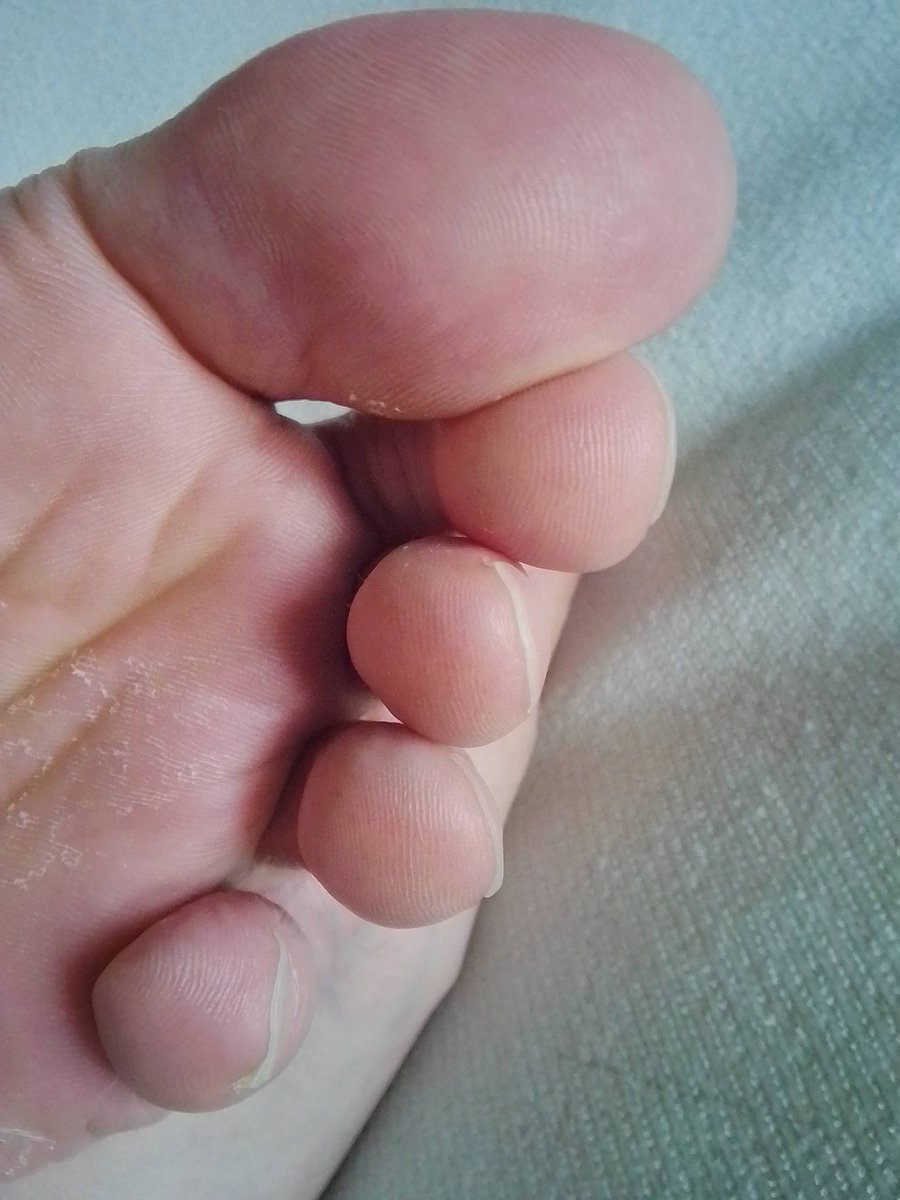 ゆうま🦁 (@yumapet) / Posts / X