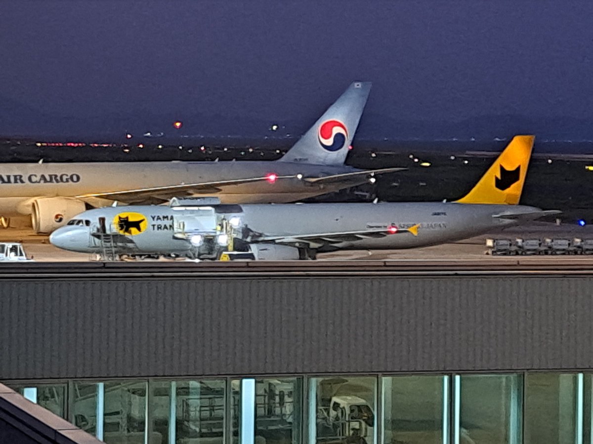ken1mtblue's tweet photo. 昨日は見送りがあり、久々に家族で北九州空港✈️タイミング良くクロネコ着陸で猫活🐈⬛ハッチが開いてるのは初めて見ました🚪
#北九州空港 #KKJ #RJFR https://t.co/0OCvCKCuM6