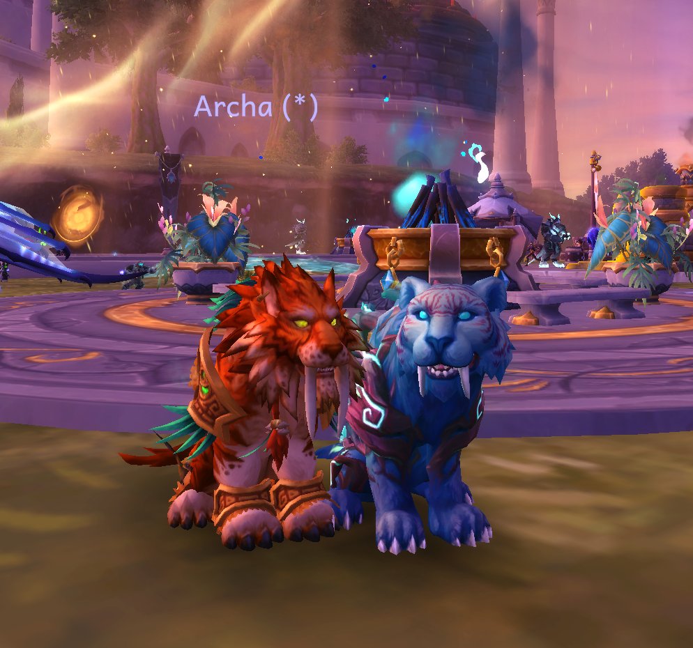 alyssiaes's tweet photo. remix is so special because i get to run around in queues as kitties with my sister. this is what girls want in life https://t.co/9RasFRqvUO
