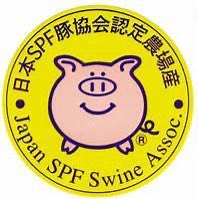 c_n_fishtons's tweet image. おはようございます

『クレイジー油そば』
ありがとうございました

続けてやるつもりでしたが
ちょっと大変なので
違うヤツやりますm(_ _)m

また気が向いたらやります

日曜日

11時-15時
18時-21時

TOKYO-X増し
山麓豚SPF増し
メンマ増し　飯

など
いろいろあり

よろしくお願い致しますm(_ _)m