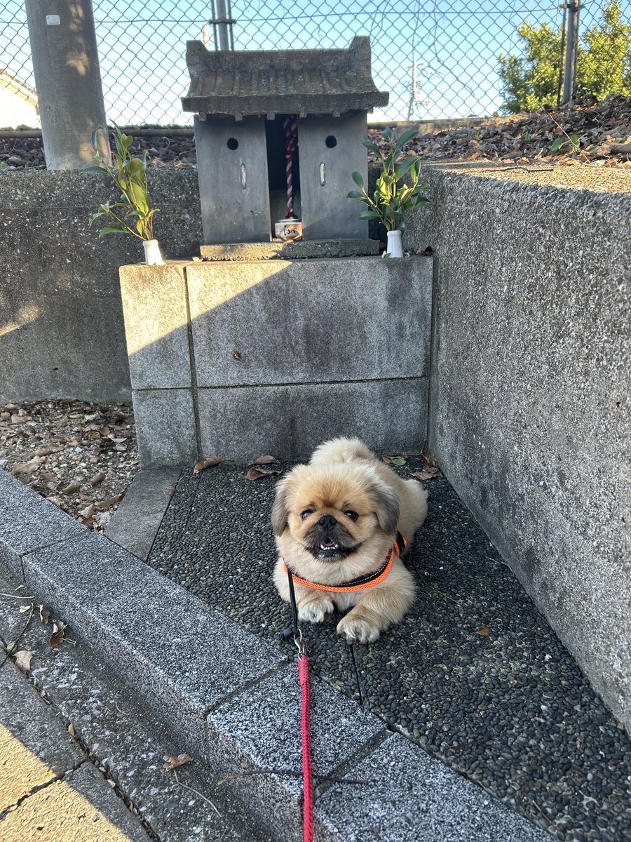 えびてん (@5X20h0G6SnVkpgS) / X