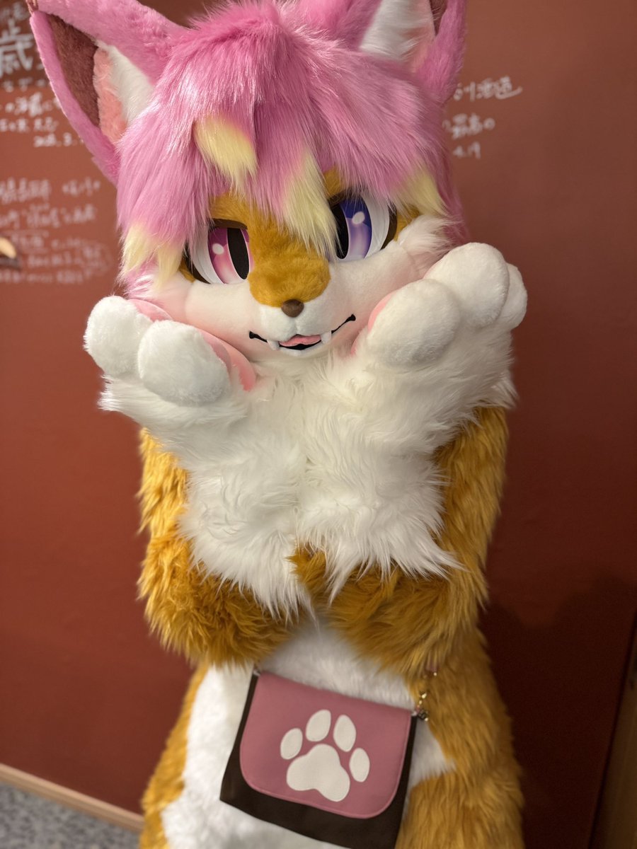 Chups_mofu's tweet image. おはよ〜🦊✨️
昨日は #桜花酒造 っていう場所で、お酒や肴を嗜みながら、モフモフしていました！

美味しいお酒や肴をつまみながら、可愛いを摂取する貴重な体験でした！

【🌅：あめだま】
【📸：@Machine_Lizard 】