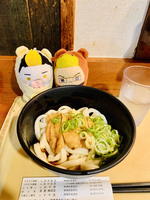 朝家を出る前にカレーを食べたことを忘れて、立ち食いうどん屋さんに入ってしまったよ(・〜・)ふわたちもびっくり